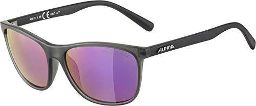 ALPINA Unisex - Erwachsene, JAIDA Sonnenbrille, grey transparent matt, One Size